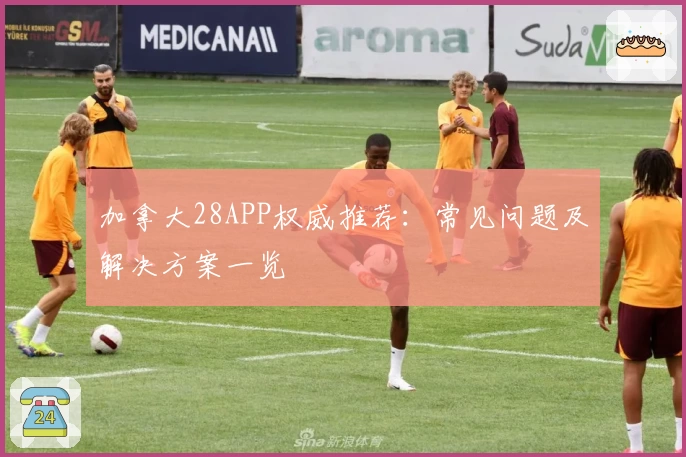 加拿大28APP权威推荐：常见问题及解决方案一览