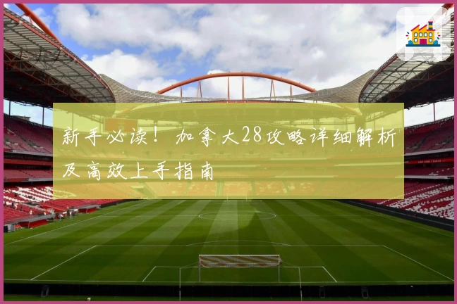 新手必读！加拿大28攻略详细解析及高效上手指南