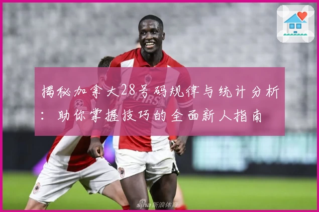 揭秘加拿大28号码规律与统计分析：助你掌握技巧的全面新人指南