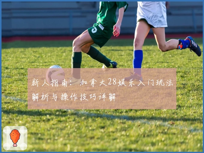 新人指南：加拿大28娱乐入门玩法解析与操作技巧详解