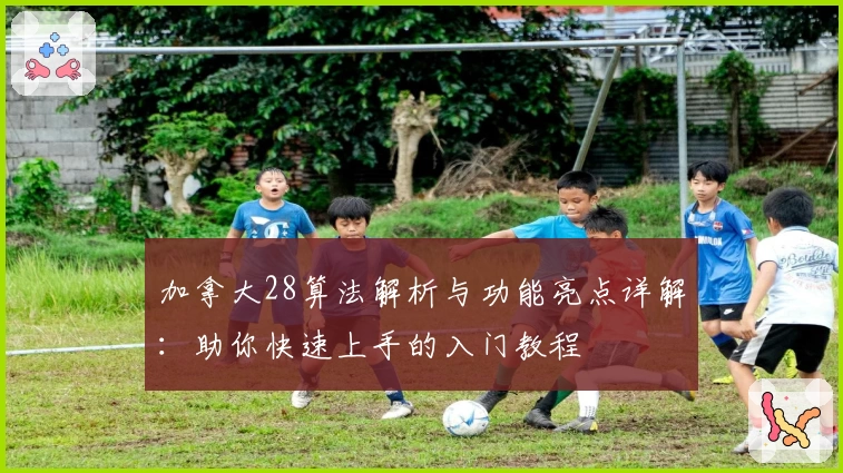 加拿大28算法解析与功能亮点详解：助你快速上手的入门教程