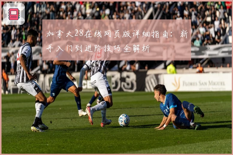 加拿大28在线网页版详细指南：新手入门到进阶技巧全解析