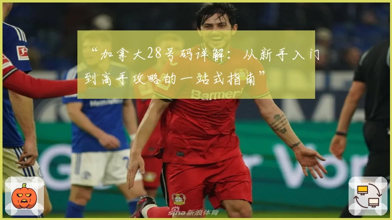 “加拿大28号码详解：从新手入门到高手攻略的一站式指南”