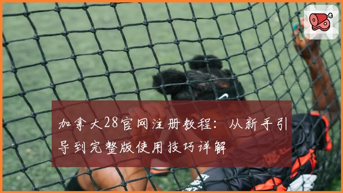 加拿大28官网注册教程：从新手引导到完整版使用技巧详解
