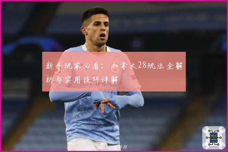 新手玩家必看：加拿大28玩法全解析与实用技巧详解