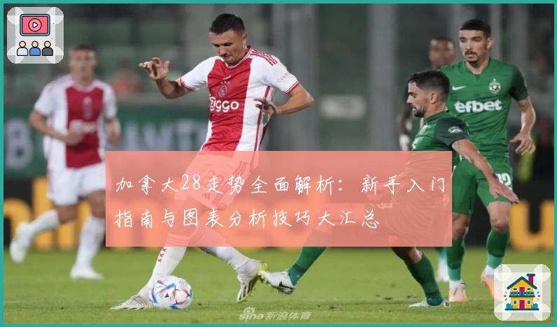加拿大28走势全面解析：新手入门指南与图表分析技巧大汇总