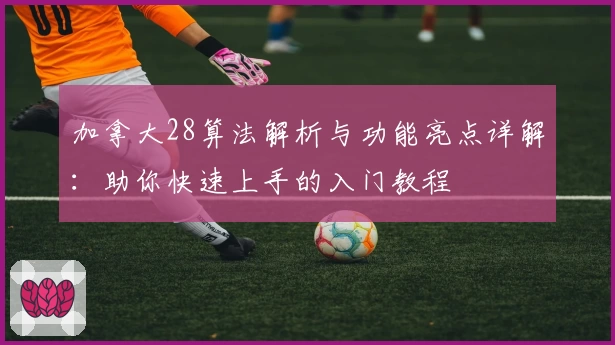 加拿大28算法解析与功能亮点详解：助你快速上手的入门教程