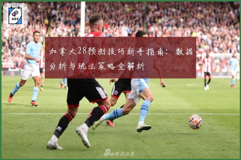 加拿大28预测技巧新手指南:数据分析与玩法策略全解析