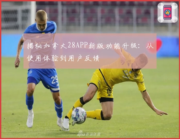 揭秘加拿大28APP新版功能升级:从使用体验到用户反馈