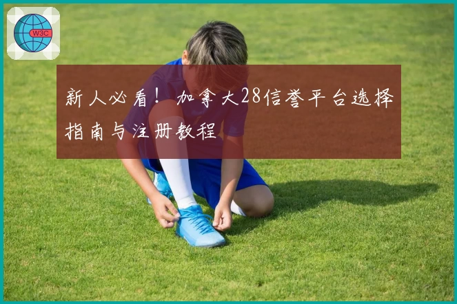 新人必看！加拿大28信誉平台选择指南与注册教程