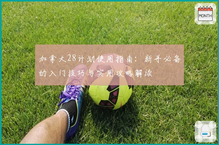 加拿大28计划使用指南：新手必备的入门技巧与实用攻略解读