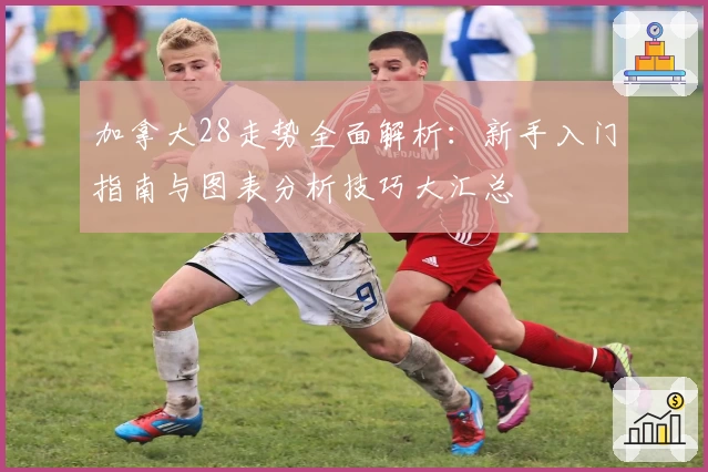 加拿大28走势全面解析：新手入门指南与图表分析技巧大汇总