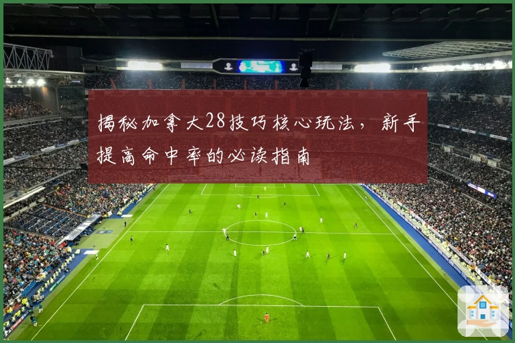 揭秘加拿大28技巧核心玩法，新手提高命中率的必读指南