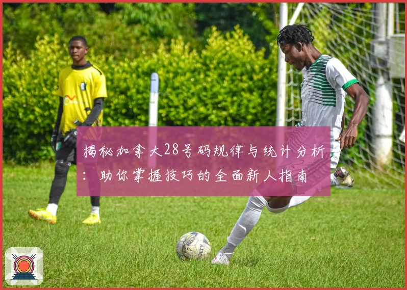 揭秘加拿大28号码规律与统计分析：助你掌握技巧的全面新人指南