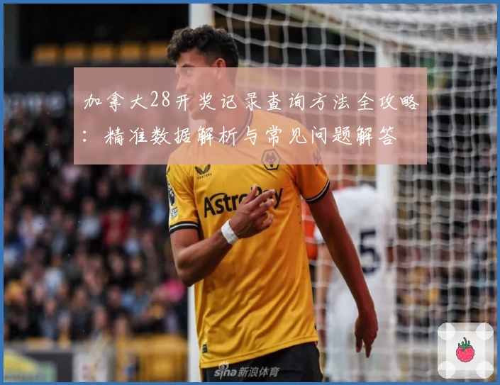加拿大28开奖记录查询方法全攻略：精准数据解析与常见问题解答