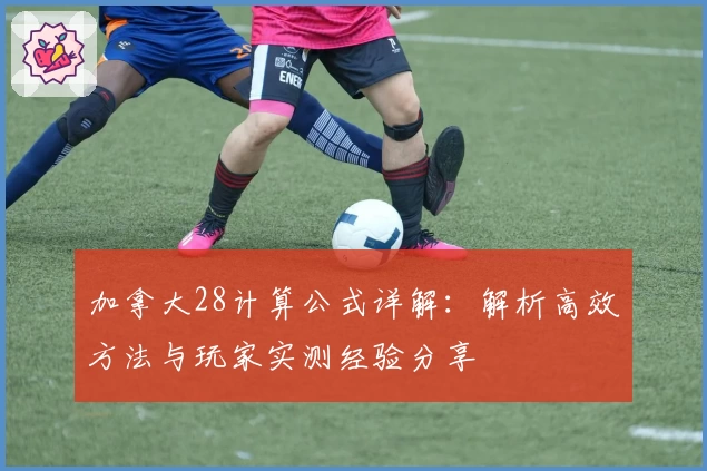 加拿大28计算公式详解：解析高效方法与玩家实测经验分享