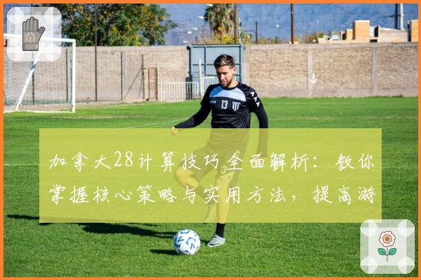 加拿大28计算技巧全面解析：教你掌握核心策略与实用方法，提高游戏体验