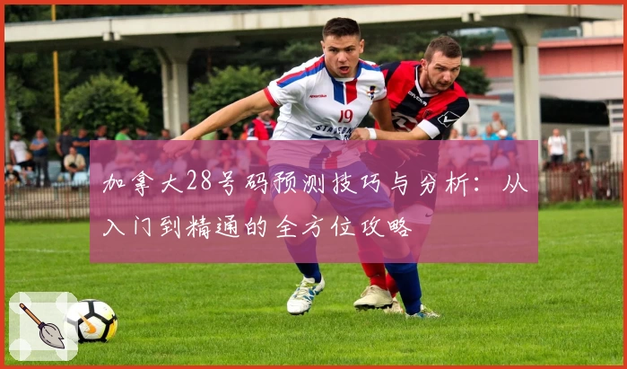 加拿大28号码预测技巧与分析：从入门到精通的全方位攻略