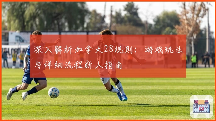 深入解析加拿大28规则：游戏玩法与详细流程新人指南