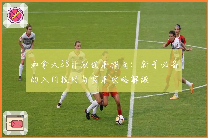 加拿大28计划使用指南：新手必备的入门技巧与实用攻略解读