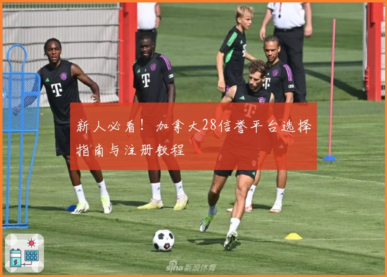 新人必看！加拿大28信誉平台选择指南与注册教程