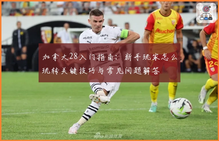 加拿大28入门指南：新手玩家怎么玩转关键技巧与常见问题解答