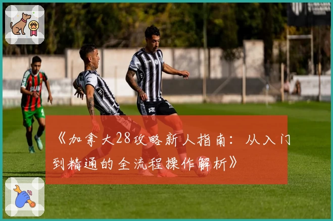 《加拿大28攻略新人指南：从入门到精通的全流程操作解析》