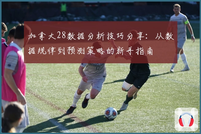 加拿大28数据分析技巧分享：从数据规律到预测策略的新手指南