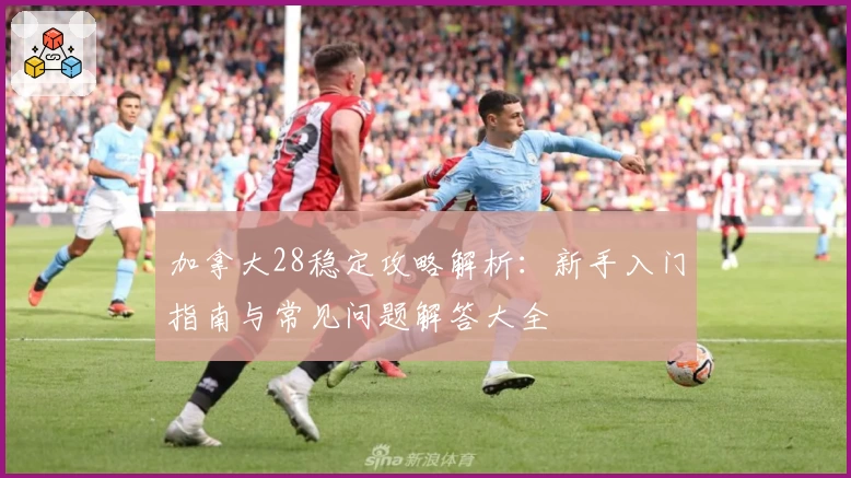 加拿大28稳定攻略解析：新手入门指南与常见问题解答大全