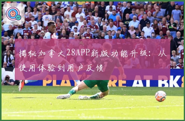 揭秘加拿大28APP新版功能升级：从使用体验到用户反馈