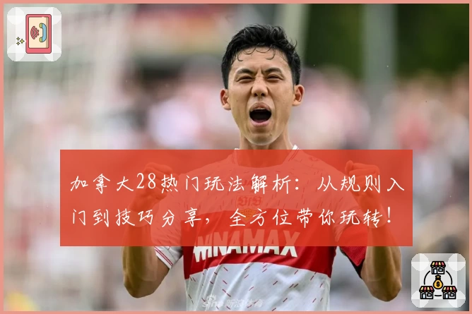 加拿大28热门玩法解析：从规则入门到技巧分享，全方位带你玩转！