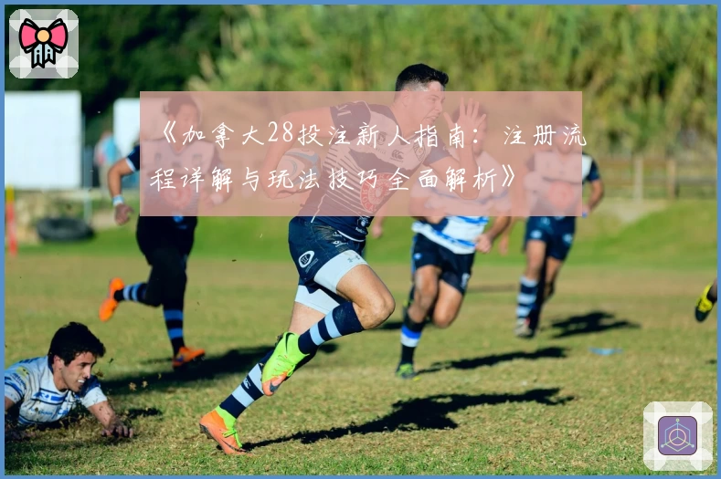 《加拿大28投注新人指南：注册流程详解与玩法技巧全面解析》