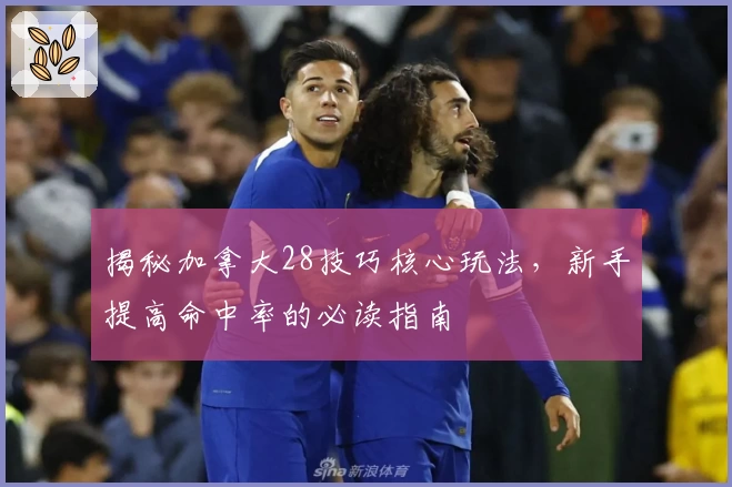 揭秘加拿大28技巧核心玩法，新手提高命中率的必读指南