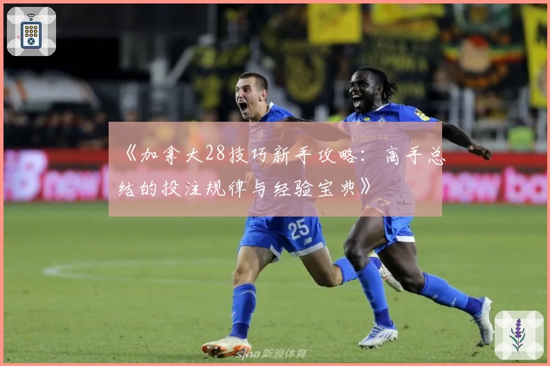《加拿大28技巧新手攻略：高手总结的投注规律与经验宝典》