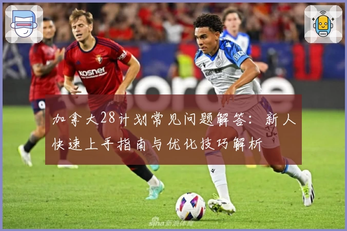 加拿大28计划常见问题解答：新人快速上手指南与优化技巧解析