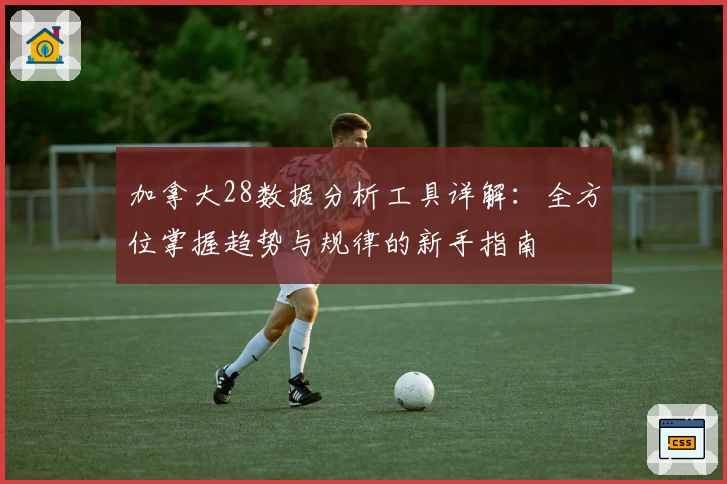 加拿大28数据分析工具详解：全方位掌握趋势与规律的新手指南