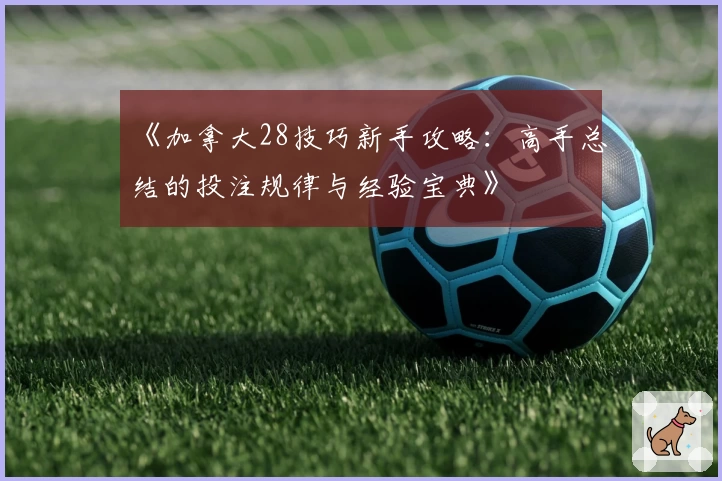 《加拿大28技巧新手攻略：高手总结的投注规律与经验宝典》