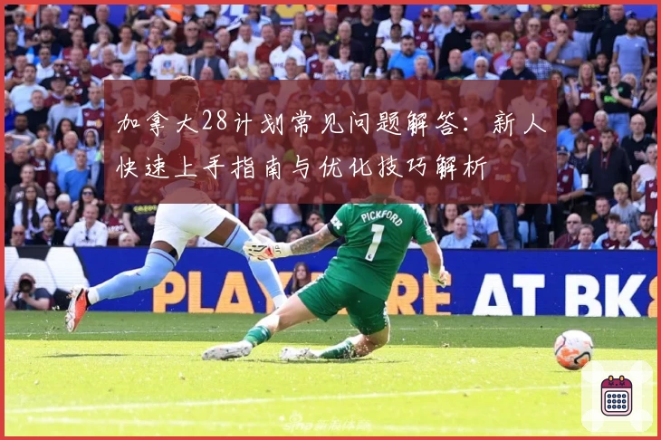 加拿大28计划常见问题解答：新人快速上手指南与优化技巧解析