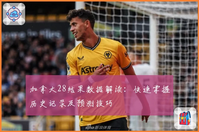 加拿大28结果数据解读：快速掌握历史记录及预测技巧