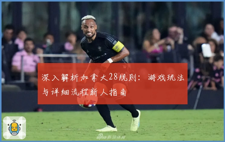 深入解析加拿大28规则：游戏玩法与详细流程新人指南