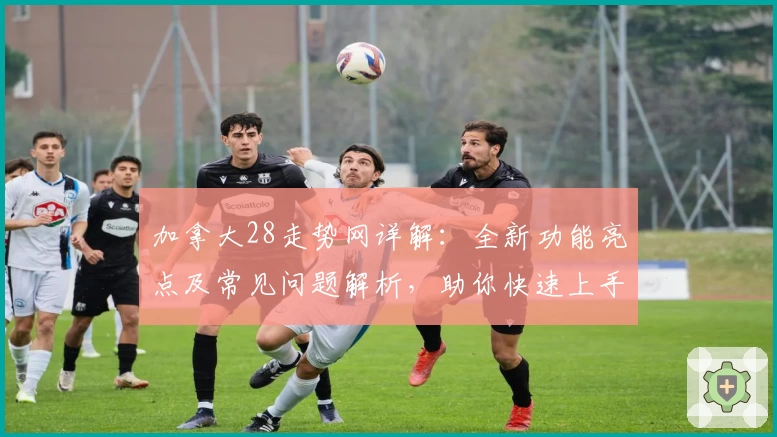 加拿大28走势网详解：全新功能亮点及常见问题解析，助你快速上手