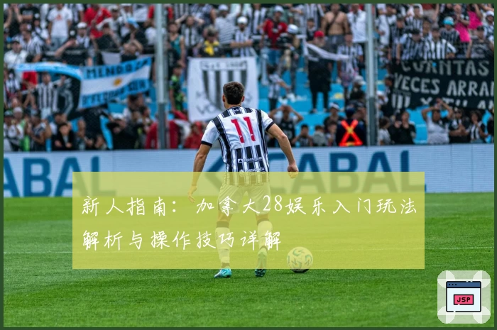 新人指南：加拿大28娱乐入门玩法解析与操作技巧详解