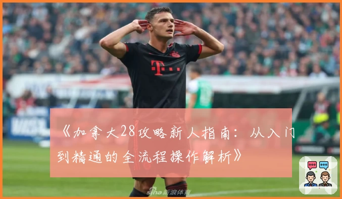 《加拿大28攻略新人指南：从入门到精通的全流程操作解析》