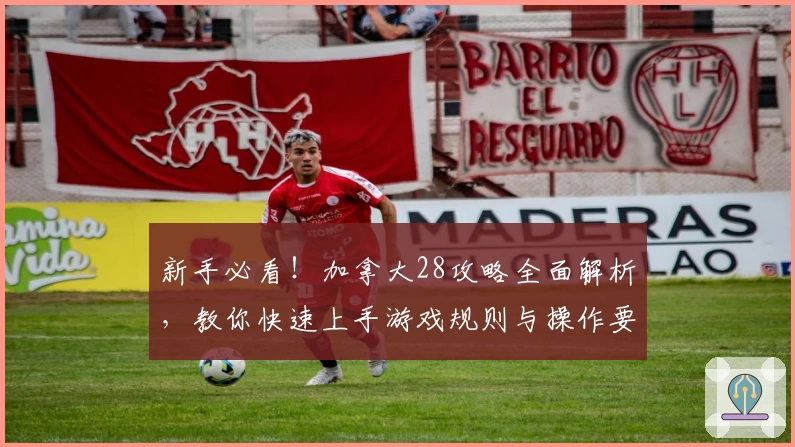 新手必看！加拿大28攻略全面解析，教你快速上手游戏规则与操作要点
