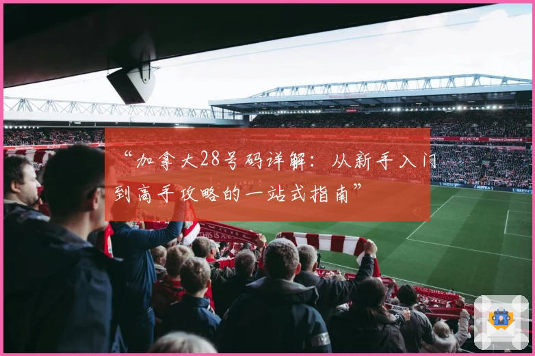 “加拿大28号码详解：从新手入门到高手攻略的一站式指南”