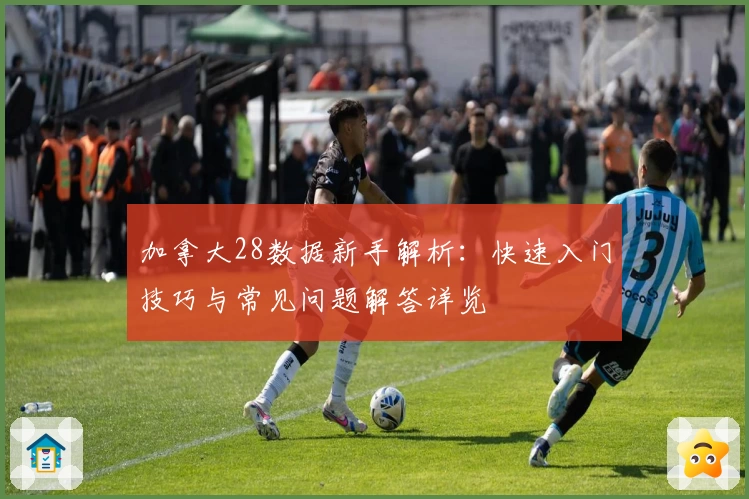 加拿大28数据新手解析：快速入门技巧与常见问题解答详览