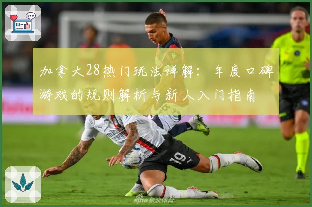 加拿大28热门玩法详解：年度口碑游戏的规则解析与新人入门指南