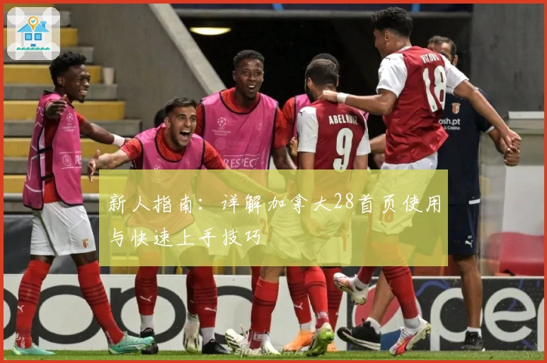 新人指南：详解加拿大28首页使用与快速上手技巧