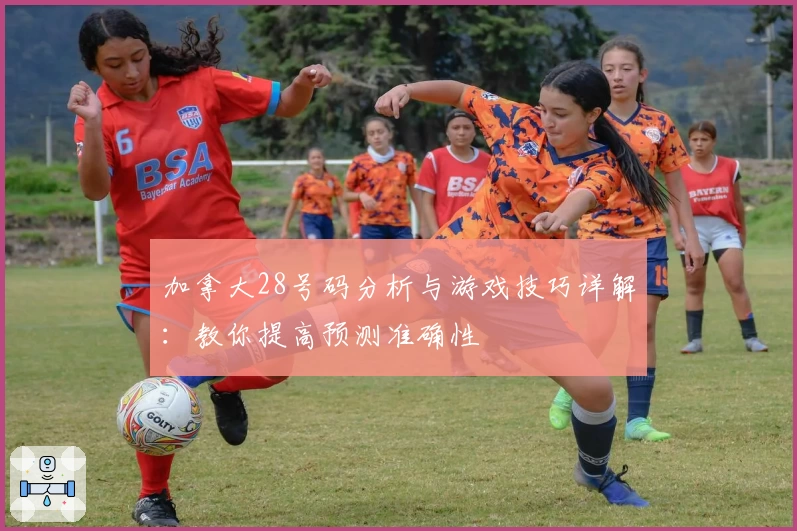 加拿大28号码分析与游戏技巧详解：教你提高预测准确性