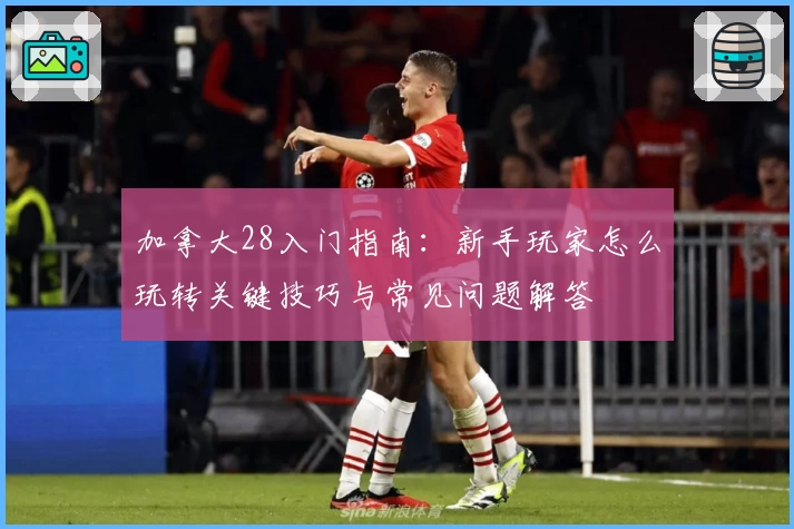 加拿大28入门指南：新手玩家怎么玩转关键技巧与常见问题解答